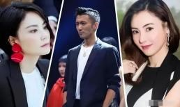 Từng được hỏi 'Ai có thân hình đẹp hơn, Trương Bá Chi hay Vương Phi?', Tạ Đình Phong đã tức giận thốt ra bốn từ