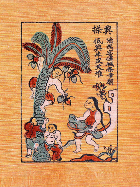 Hái dừa